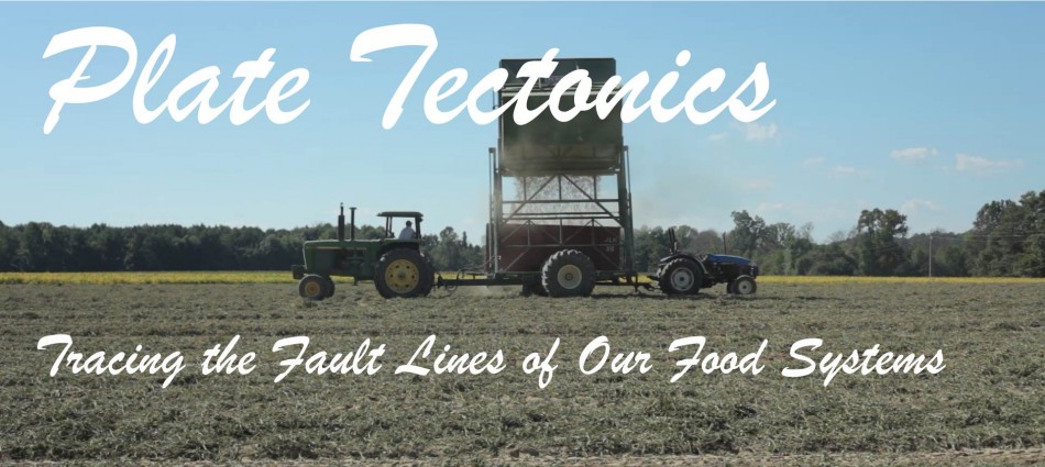 cropped-Banner-tractor